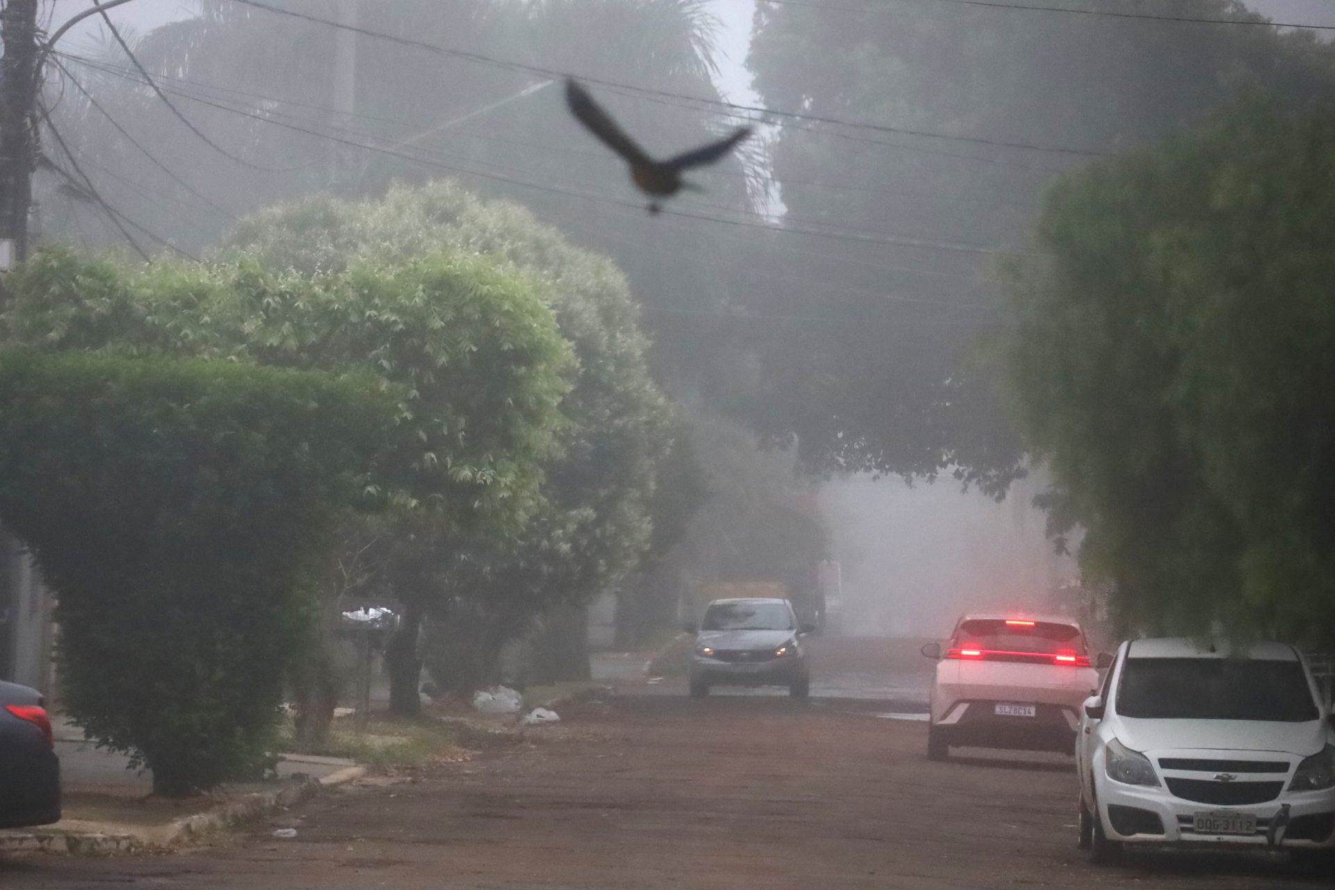 Semana inicia com temperaturas amenas e tempo instável em Mato Grosso do Sul