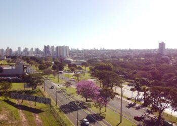 Domingo será quente, seco e com máxima de 36ºC em MS