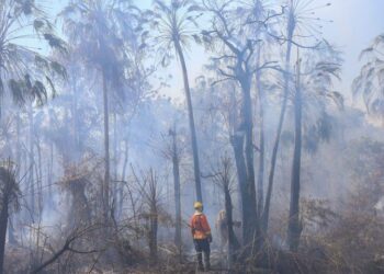 Combate aos incêndios no Pantanal tem reforço com equipes de bombeiros do PR e GO