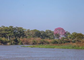 Com elevação gradativa nas temperaturas, quinta-feira tem previsão de sol e poucas nuvens