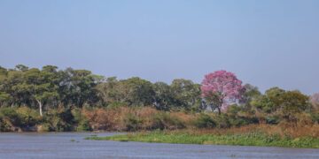 Com elevação gradativa nas temperaturas, quinta-feira tem previsão de sol e poucas nuvens