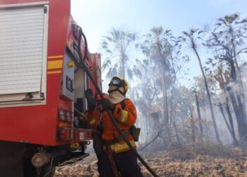 Com seis focos ativos, incêndios no Pantanal são intensificados devido a condições climáticas extremas
