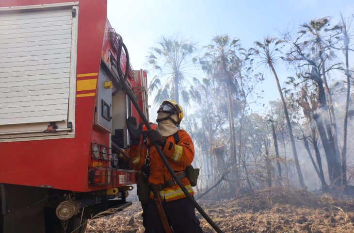 Com seis focos ativos, incêndios no Pantanal são intensificados devido a condições climáticas extremas