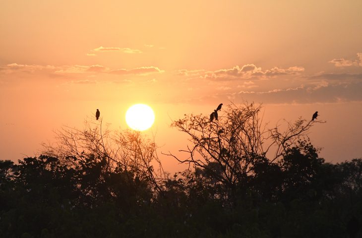 MS terá dias de sol, friozinho cedo e baixa umidade