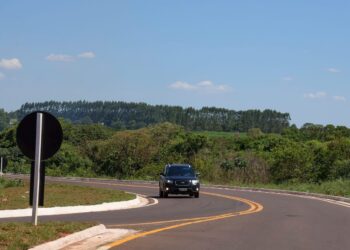 Fase de estudos para concessão da ‘rota da celulose’ em Mato Grosso do Sul é concluída