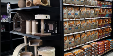 Primeira loja especializada em felinos em Campo Grande abre as portas no próximo sábado