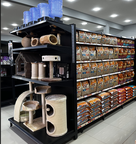 Primeira loja especializada em felinos em Campo Grande abre as portas no próximo sábado