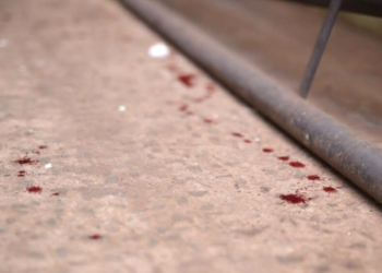 Com ferro na mão, homem queimou árvores e ameaçou população da Vila Anahy