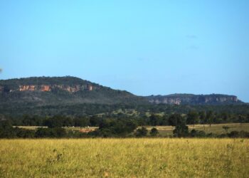 Mato Grosso do Sul tem previsão de sol e baixa umidade relativa do ar nesta quarta-feira