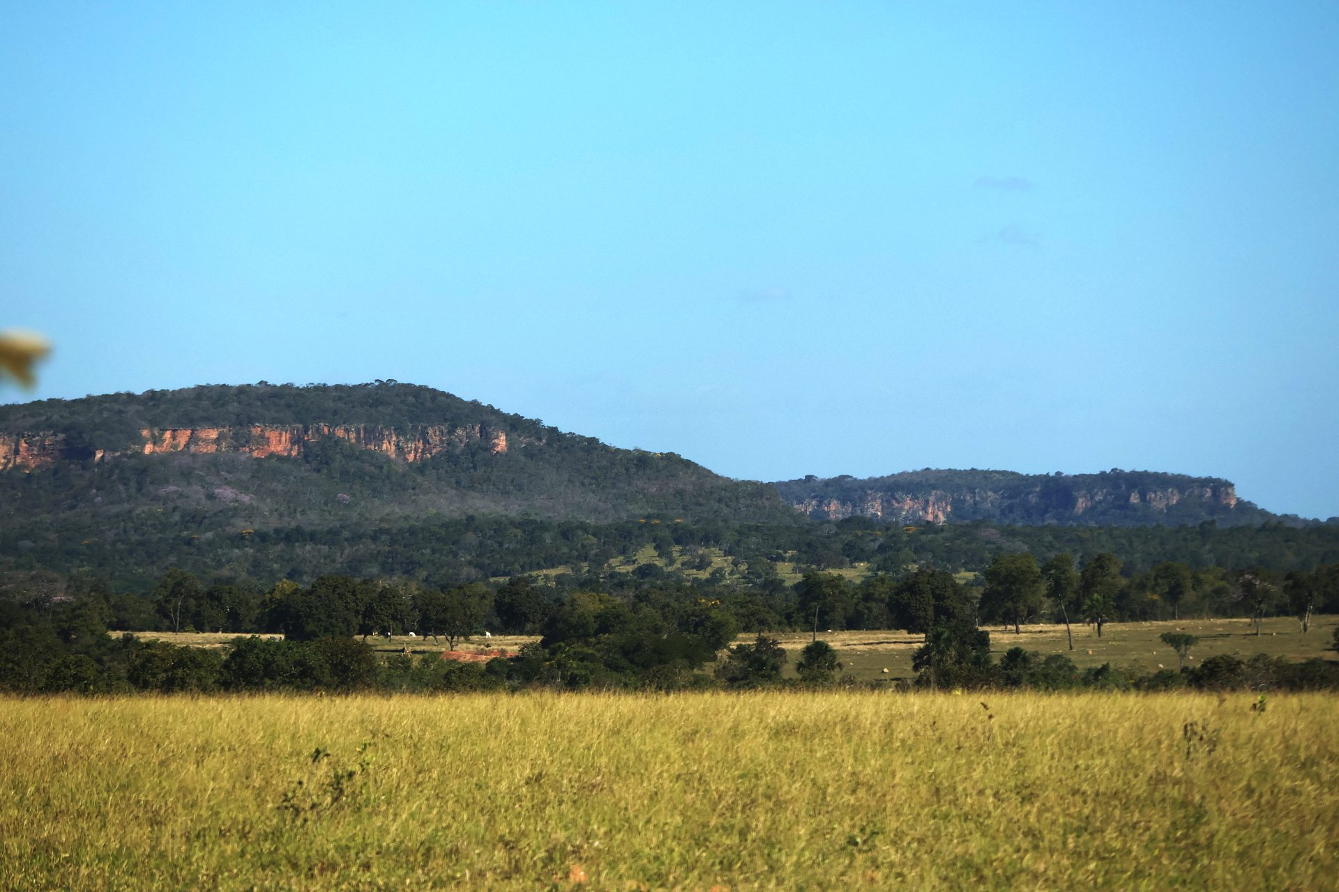 Mato Grosso do Sul tem previsão de sol e baixa umidade relativa do ar nesta quarta-feira
