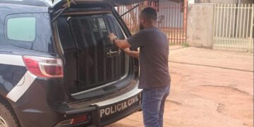 Delegacia de Rio Verde capturou cinco acusados estupro e abusos sexuais neste semestre