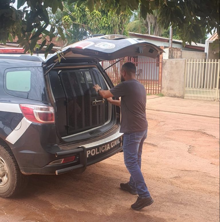 Delegacia de Rio Verde capturou cinco acusados estupro e abusos sexuais neste semestre