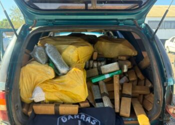 Homem é preso com mais de 800 kg de drogas em Campo Grande