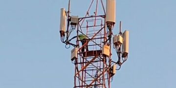 Mais de 15 horas de negociação: homem desce de torre de telefonia na Vila Bandeirantes