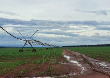 FCO para MS: R$ 227 milhões são aprovados para empreendimentos em diversas áreas