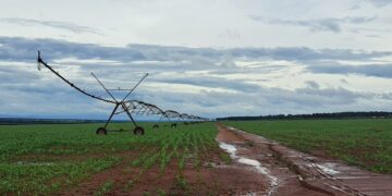 FCO para MS: R$ 227 milhões são aprovados para empreendimentos em diversas áreas