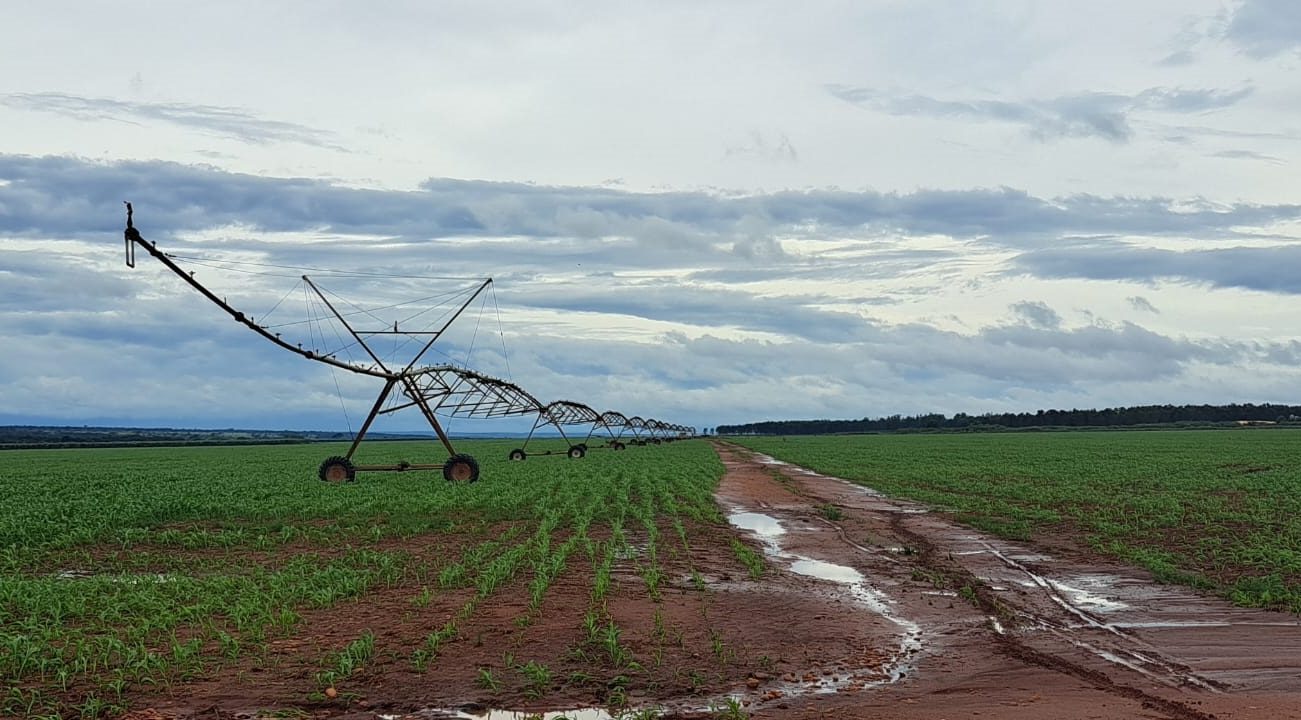 FCO para MS: R$ 227 milhões são aprovados para empreendimentos em diversas áreas