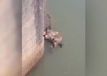 Corpo é encontrado boiando no Rio Sucuriú em Costa Rica