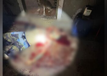 Jovem é m*rto a tiros nas Moreninhas