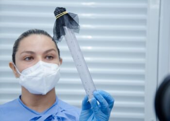 Prefeitura encerra atividades do método Wolbachia