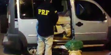 PRF apreende 1 tonelada de maconha e cumpre mandado de prisão em Campo Grande 