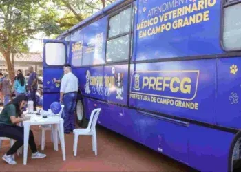 As clínicas móveis ou presenciais da Subea oferecem atendimento veterinário ao público