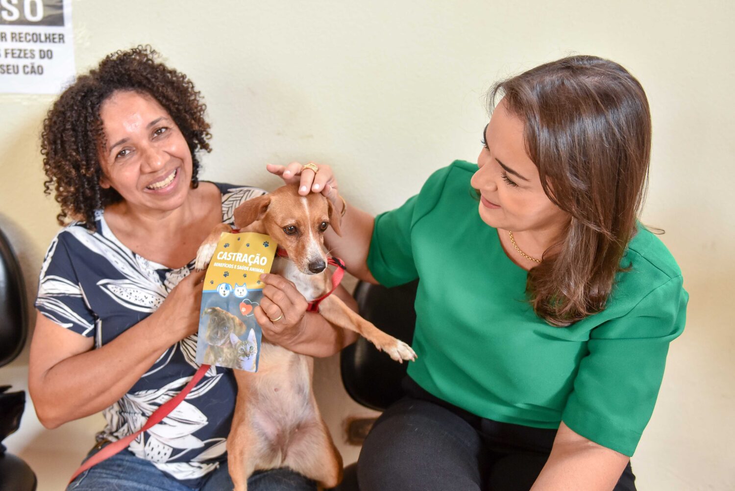 Adriane Lopes quer reforçar mutirões de castração e expandir os atendimentos para cães e gatos