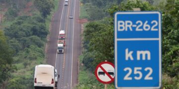 Governo abre consulta pública para contribuições da sociedade sobre concessão da Rota da Celulose