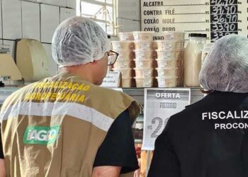 Controle do Procon com Iagro descarta mais de 618 quilos de carne em Campo Grande