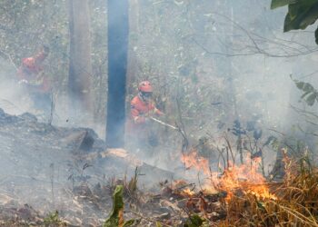 Operação Pantanal: Bioma MS ainda tem oito focos mesmo após chuvas