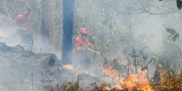 Operação Pantanal: Bioma MS ainda tem oito focos mesmo após chuvas