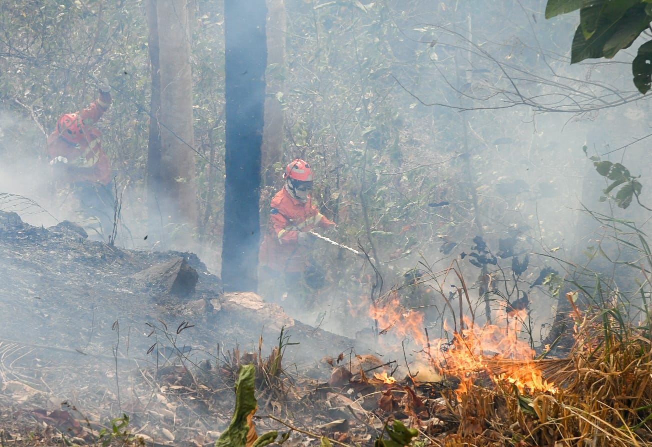 Operação Pantanal: Bioma MS ainda tem oito focos mesmo após chuvas