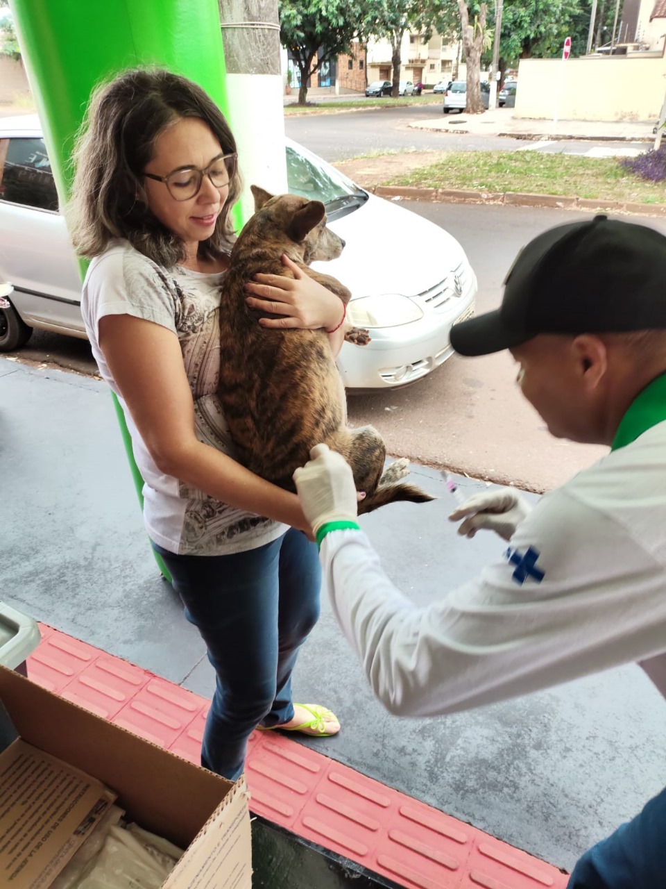 Campanha de Vacinação Antirrábica começa nesta quinta-feira em Dourados