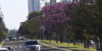 Terça-feira promete ser de sol e tempo firme em Mato Grosso do Sul, mas frio permanece