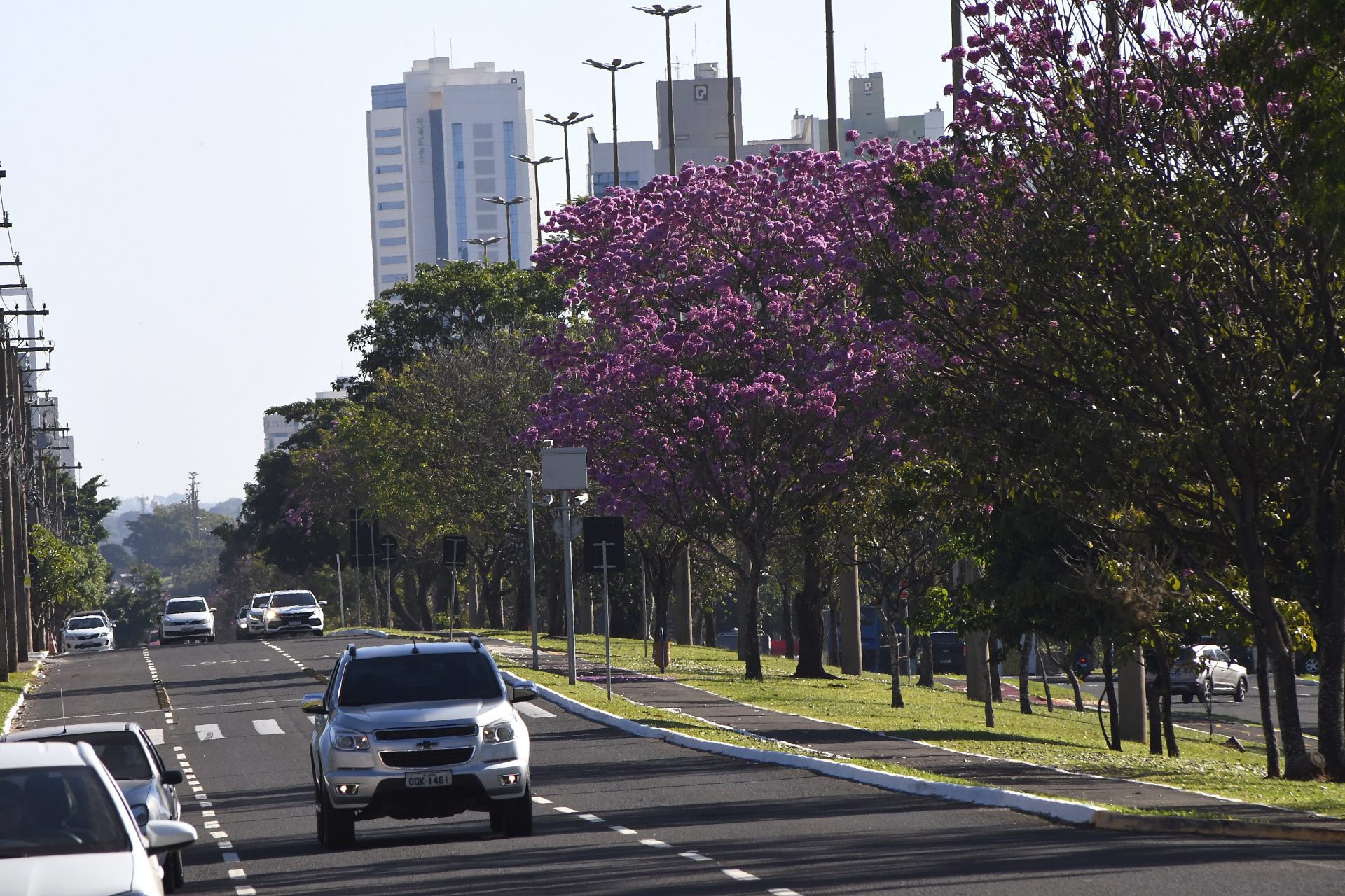 Terça-feira promete ser de sol e tempo firme em Mato Grosso do Sul, mas frio permanece