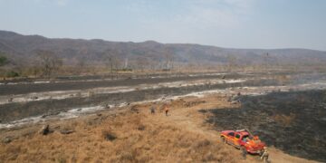 Pantanal tem situação climática severa que intensifica incêndios florestais e oito focos com ações de combate
