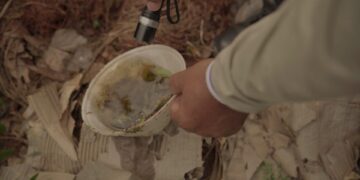 Mais de 15.500 casos de dengue são registrados em MS