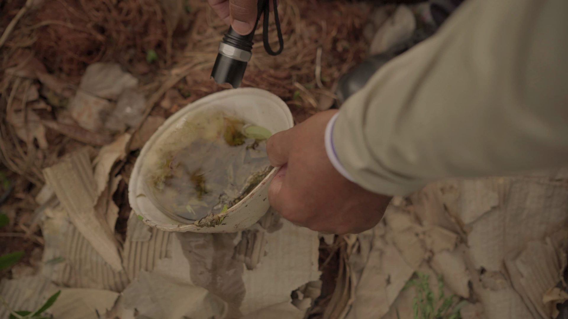 Mais de 15.500 casos de dengue são registrados em MS