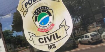 Homem denuncia possível envenenamento de quatro gatos em Nova Andradina