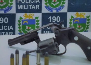 Homem é preso após matar cachorro a tiros e enterrar o corpo em matagal