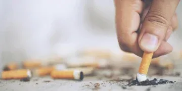 Dia Nacional de Combate ao Fumo: Brasil Intensifica Esforços contra o Tabagismo