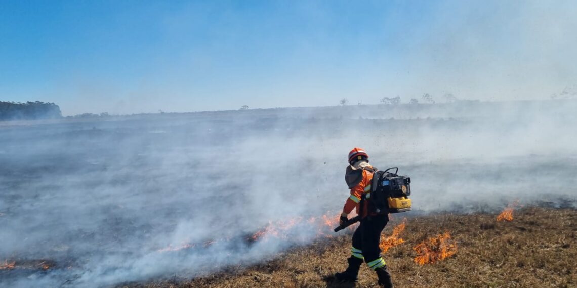 Mato Grosso do Sul segue enfrentando seca severa e aumento de incêndios florestais