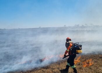 Mato Grosso do Sul segue enfrentando seca severa e aumento de incêndios florestais