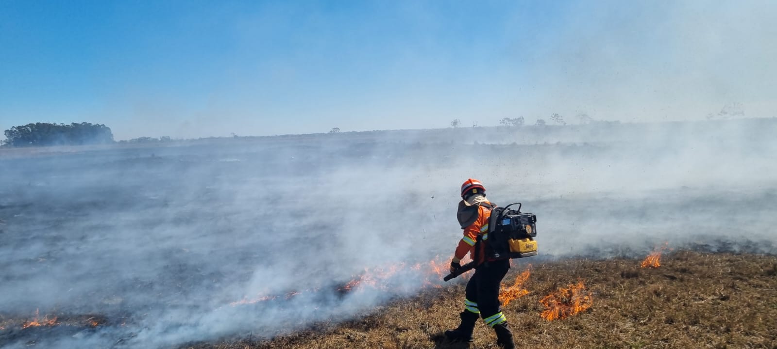 Mato Grosso do Sul segue enfrentando seca severa e aumento de incêndios florestais