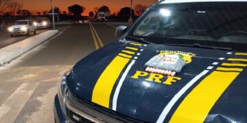 Mulher é detida com drogas em ônibus e alega que ia visitar avó enferma em Ponta Porã