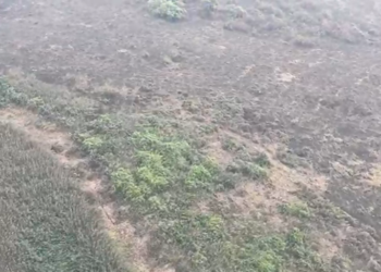 Polícia Federal investiga incêndios criminosos no Pantanal