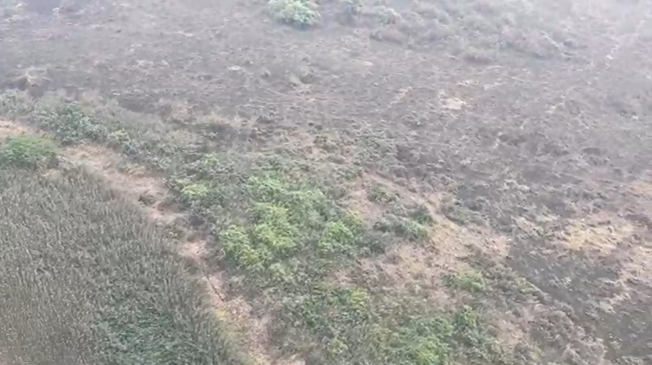 Polícia Federal investiga incêndios criminosos no Pantanal