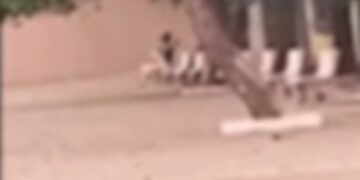 Brasileirinhas? Praça vira cenário de filme +18 em Campo Grande