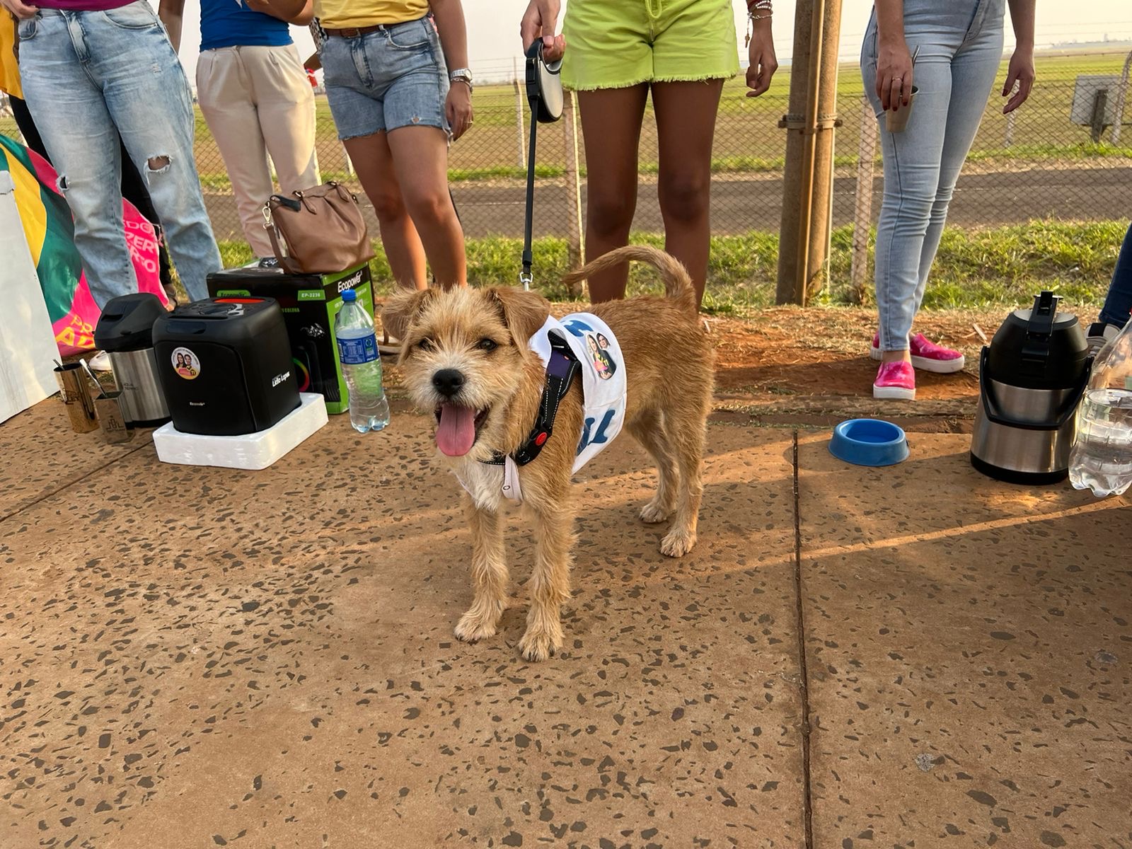 Doguinho Joca leva “aupoio” a Adriane Lopes e prefeita relembra ações para proteção animal 
