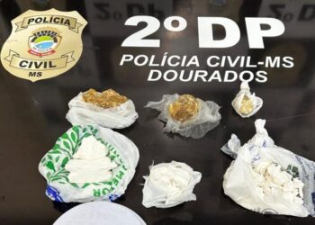 Polícia civil de Dourados prende sogra e genro por tráfico de drogas